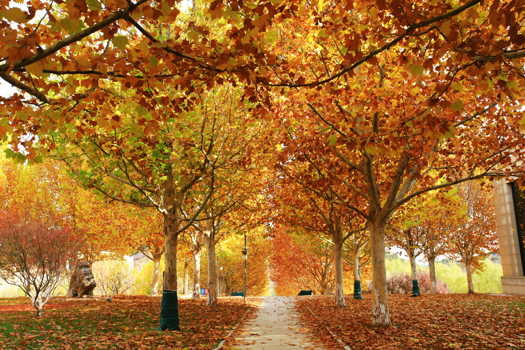 第十八期新任县委宣传部部长培训班学员联欢