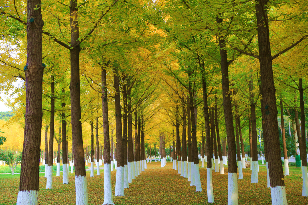 第十八期新任县委宣传部部长培训班学员<br>赴北京航空航天大学学习航空航天精神